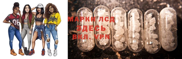 ПСИЛОЦИБИНОВЫЕ ГРИБЫ Инсар