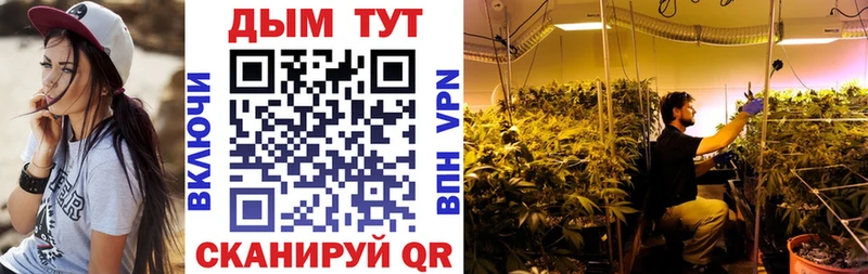 Бошки марихуана Amnesia  Бородино 